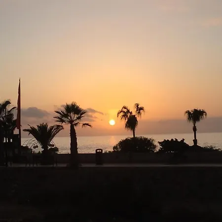 Palmar Dreams *